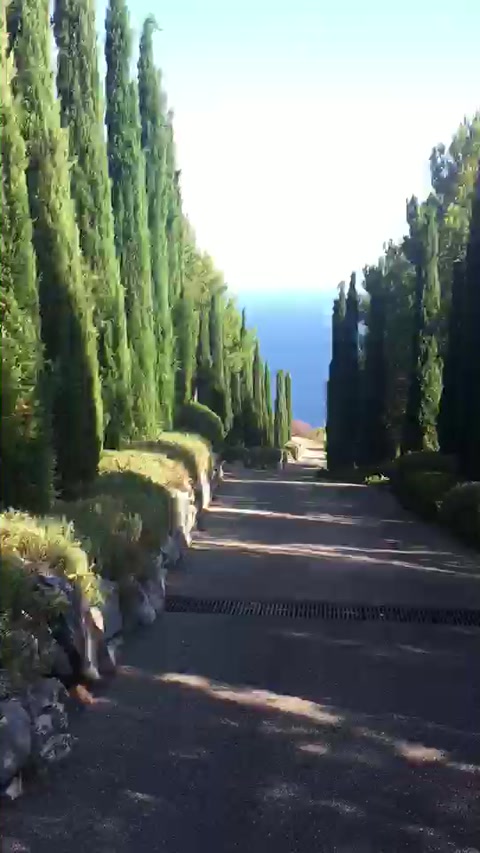 walking in the garden