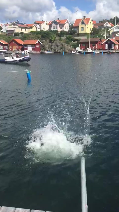 swimming in scandinavia